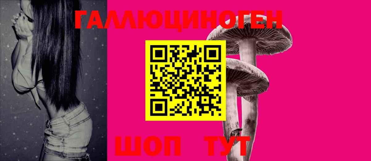 Псилоцибиновые грибы Psilocybine cubensis Рассказово